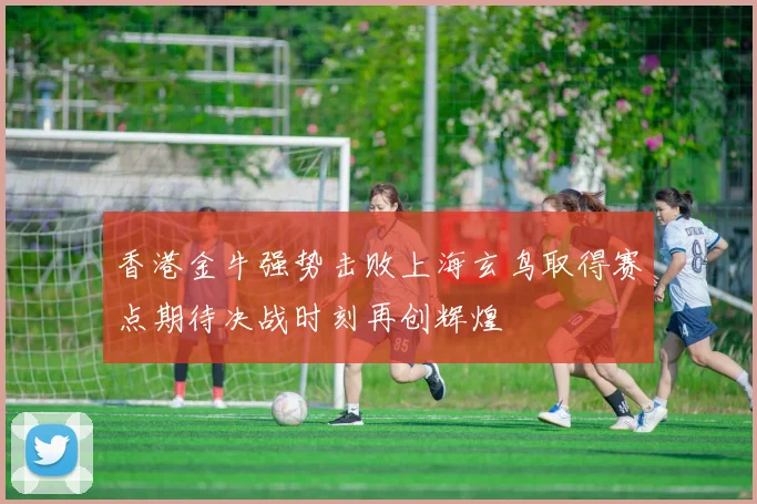 香港金牛强势击败上海玄鸟取得赛点期待决战时刻再创辉煌