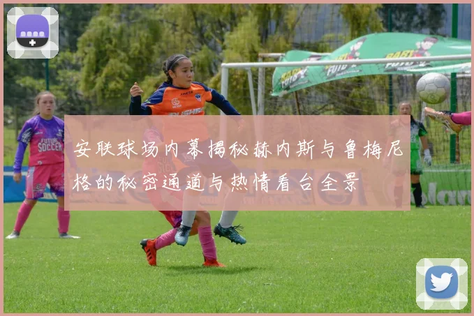 安联球场内幕揭秘赫内斯与鲁梅尼格的秘密通道与热情看台全景
